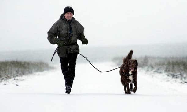 Voulez vous que votre chien soit particulièrement sportif (pour vous accompagner dans vos joggings matinaux par exemple) ?