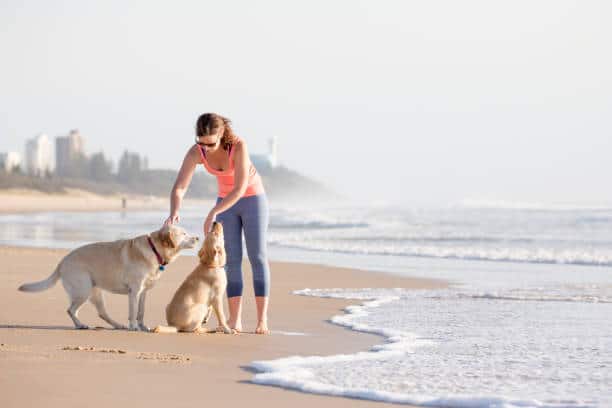 Une femme qui dressent deux chiens sur la plage