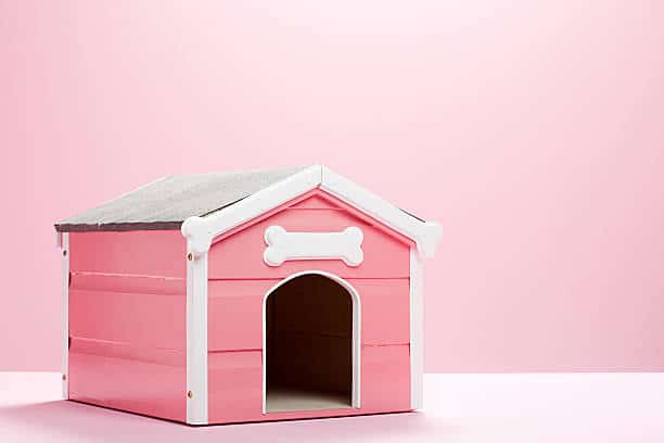 Petite niche rose pour chien sur fond rose