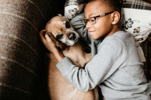 Enfant de 9 ans qui fait un calin à son chien sur le canapé