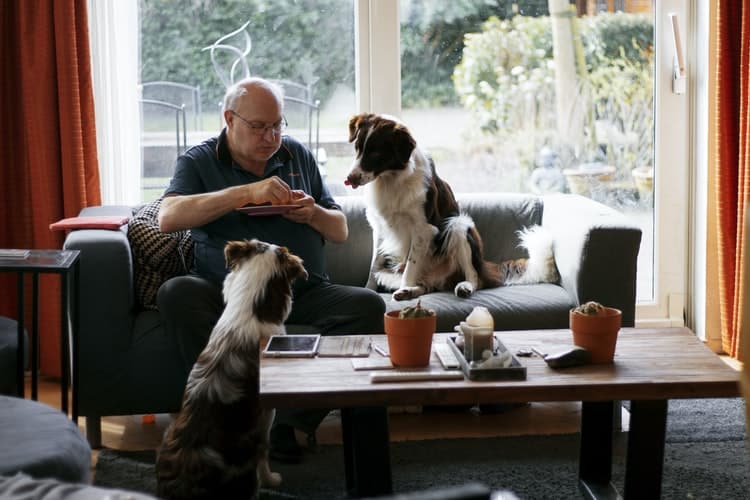 Maisons de retraite et chien : un bon ménage !