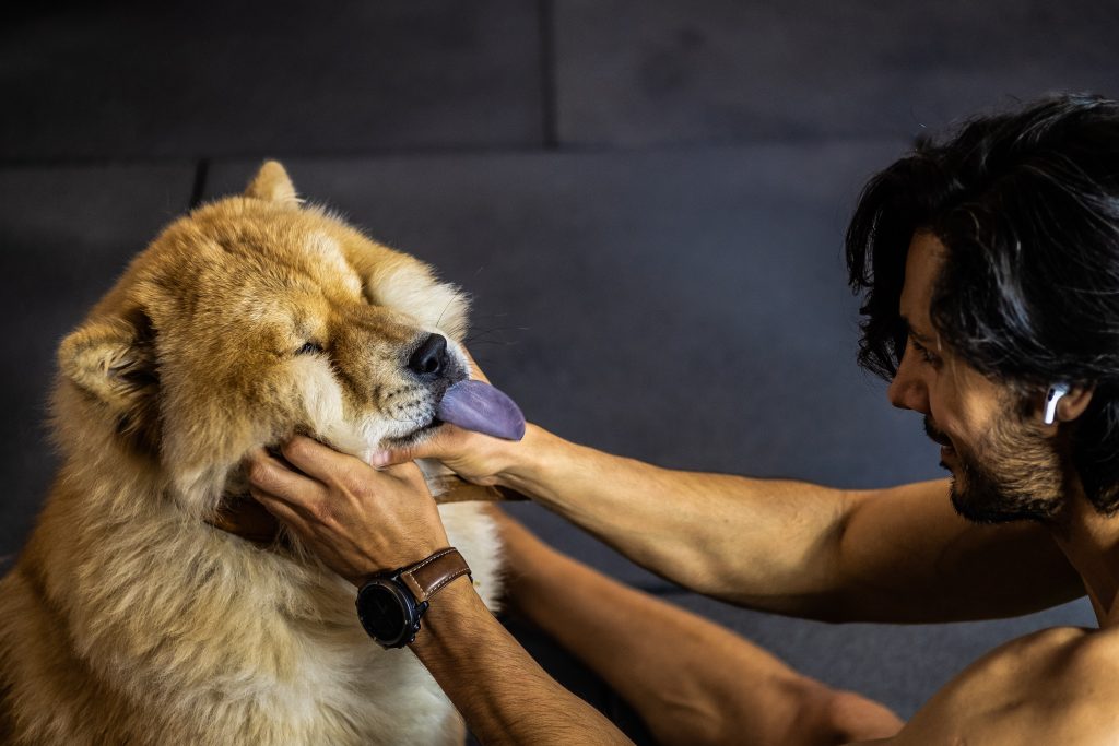 Homme qui s'occupe de l'éducation de son chow-chow