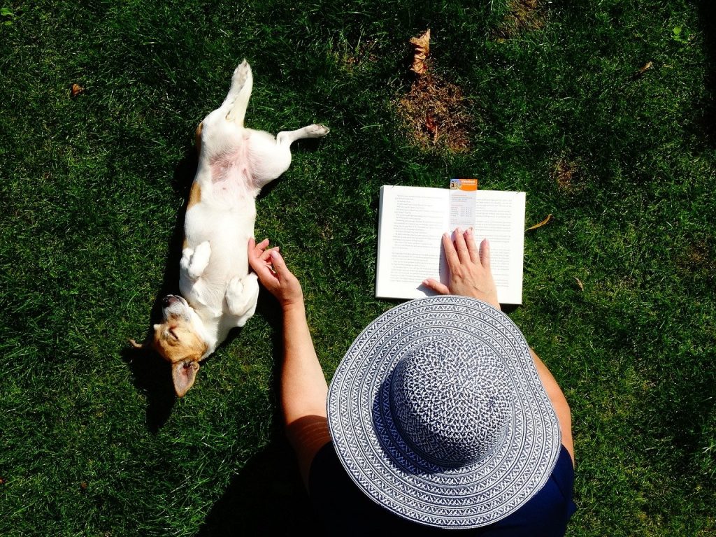 personne assise dans l'herbe qui caresse un Jack Russel 