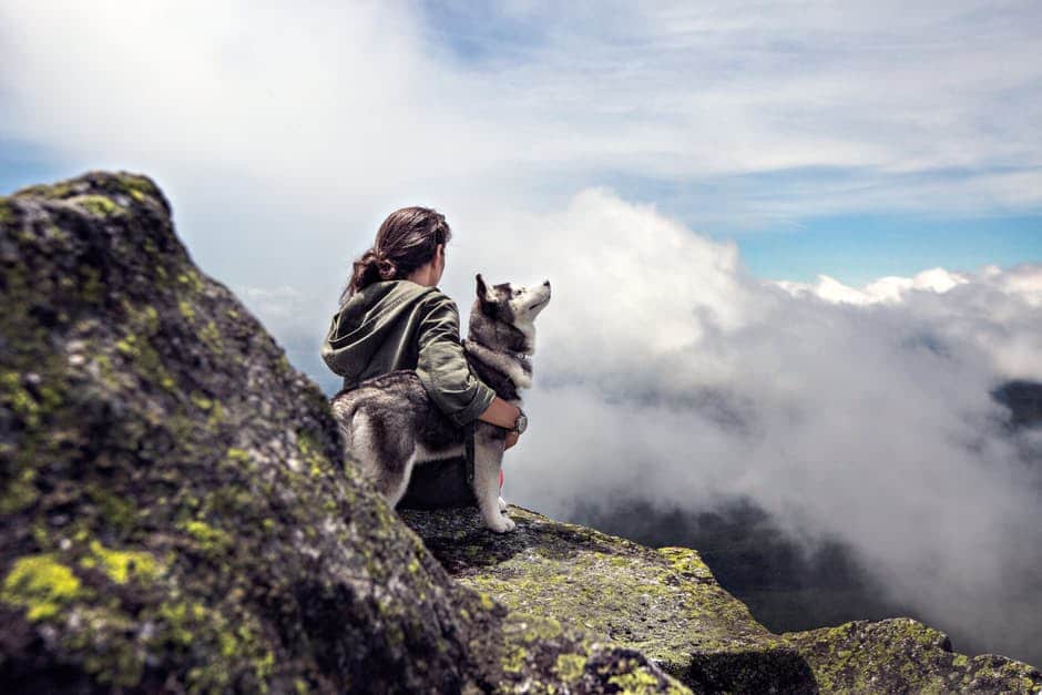 Quelles activités avec son chien à la Réunion ?