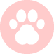 ​Race de chien Husky de Sibérie : caractère, prix, éducation, entretien