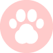 chow-chow