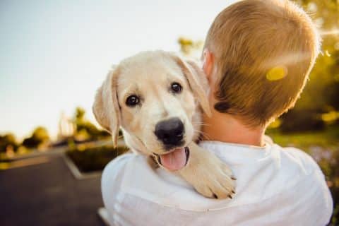 comment savoir si mon chien est heureux